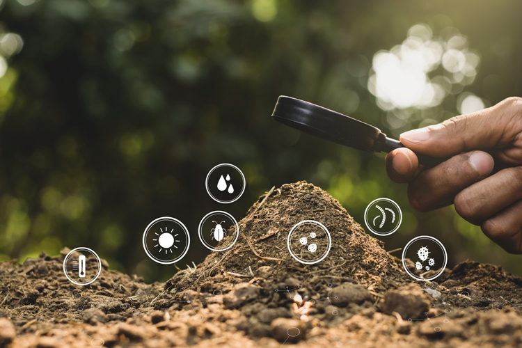 Soil analysis in USA